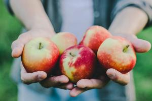 Hoofdafbeelding © Valeria Aksakova