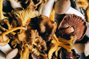 Hoofdafbeelding © Pexels